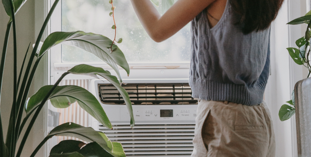 Eine Person steht vor einer Elektro-Speicherheizung in einer hellen Wohnung mit Zimmerpflanzen.
